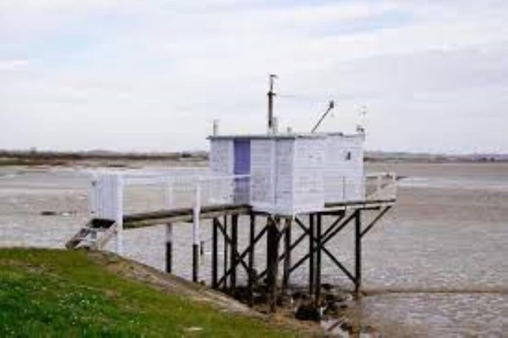 Maison Au Coeur Des Vignes Cussac-Fort-Medoc Extérieur photo